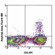 Alexa Fluor® 488 anti-human IL-17F Antibody (516603)