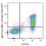 Brilliant Violet 510™ anti-mouse IgM Antibody (406531)