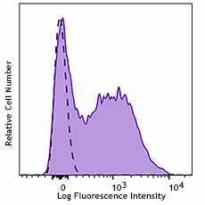 APC/Cyanine7 anti-mouse CD154 (CD40L) Antibody (157011)