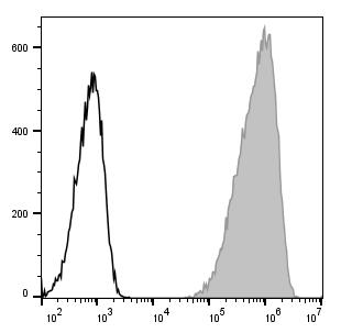 PE/Cyanine7 Anti-Mouse CD14 Antibody[Sa14-2] (E-AB-F1176H)