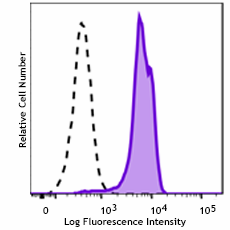 PE anti-NRF2 Antibody (939203)