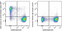 Brilliant Violet 605™ anti-mouse/rat/human CD27 Antibody (124249)