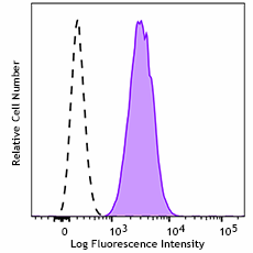GMP Pacific Blue™ anti-human CD11b Antibody (260424)