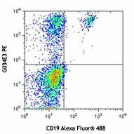 PE anti-human CD196 (CCR6) Antibody (353409)