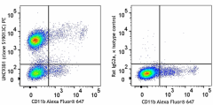 PE anti-mouse UNC93B1 Antibody (162804)