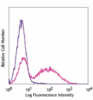 Pacific Blue™ anti-mouse I-Ab Antibody (116421)