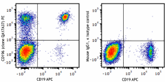 PE anti-human CD196 (CCR6) Recombinant Antibody (399004)
