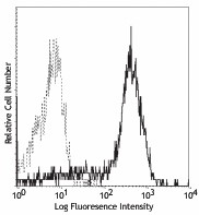 Purified anti-human CD83 Antibody (305301)