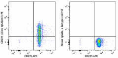 PE anti-human CD239/B-CAM Recombinant Antibody (378803)