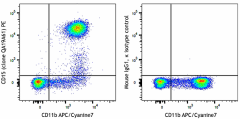 PE anti-human CD15 Recombinant Antibody (376307)
