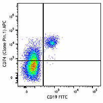 APC anti-human CD74 (Cytoplasmic) Antibody (357605)