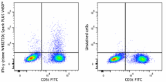 Spark PLUS V450™ anti-mouse IFN-γ Antibody (163515)
