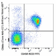 Brilliant Violet 650™ anti-mouse CD66a (CEACAM1a) Antibody (134529)