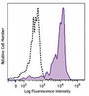 PE anti-human CD191 (CCR1) Antibody (362903)