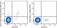 Brilliant Violet 421™ anti-human CD133 Antibody (394107)