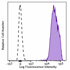 APC/Fire™ 750 anti-human CD9 Antibody (312113)