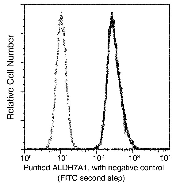 Recombinant ALDH7A1 Monoclonal Antibody (AN300069P)