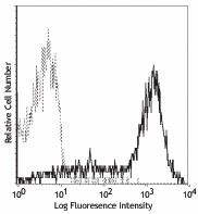 APC anti-mouse CD25 Antibody (102011)