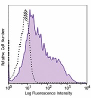 APC anti-mouse MAdCAM-1 Antibody (120711)