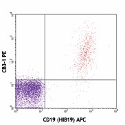 PE anti-human CD79b (Igβ) Antibody (341404)