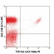 PE anti-mouse TCR Vγ2 Antibody (137705)
