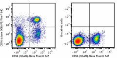 PE/Fire™ 640 anti-human CD16 Antibody (302067)