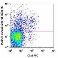 Purified anti-mouse CD39 Antibody (143801)