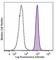 Brilliant Violet 650™ anti-human CD45 Antibody (304043)