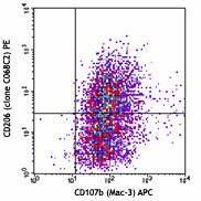 PE anti-mouse CD206 (MMR) Antibody (141705)
