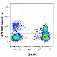 FITC anti-human CD73 (Ecto-5'-nucleotidase) Antibody (344015)