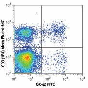 FITC anti-rat CD103 (αE Integrin) Antibody (205505)