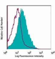 Alexa Fluor® 700 anti-human CD137 (4-1BB) Antibody (309816)