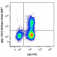 Brilliant Violet 605™ anti-human IL-2 Antibody (500331)
