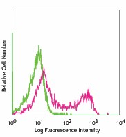 FITC anti-rat RT1D Antibody (205405)