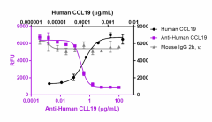 Ultra-LEAF™ Purified anti-human CCL19 (MIP-3β) Antibody (612803)