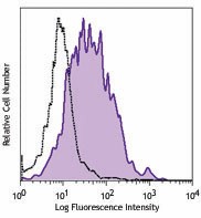 PE/Cyanine7 anti-mouse CD80 Antibody (104733)