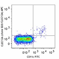 APC anti-mouse CD371 (CLEC12A) Antibody (143405)