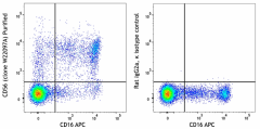 Purified anti-human CD56 (NCAM) Antibody (343752)
