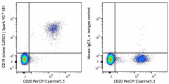Spark YG™ 581 anti-human CD19 Antibody (363045)