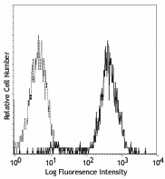 PE anti-mouse CD195 (CCR5) Antibody (107005)