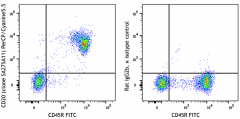 PerCP/Cyanine5.5 anti-mouse CD20 Antibody (150421)