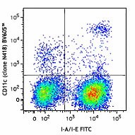 Brilliant Violet 605™ anti-mouse CD11c Antibody (117333)