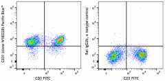 Pacific Blue™ anti-mouse CD31 (PECAM-1) Antibody (160215)