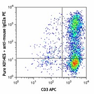 Purified anti-human CD186 (CXCR6) Antibody (356001)