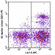 PE anti-mouse DC Marker (33D1) Antibody (124905)