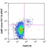 Alexa Fluor® 647 anti-mouse GARP (LRRC32) Antibody (142905)
