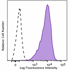 APC anti-β Catenin 1 (CTNNB1) Antibody (844607)