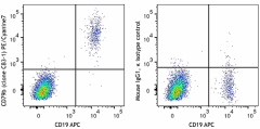 PE/Cyanine7 anti-human CD79b (Igβ) Antibody (341413)