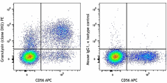 PE anti-human Granulysin Antibody (348003)