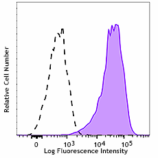 PE/Cyanine7 anti-human CD143 (Angiotensin-converting enzyme) Antibody (344207)